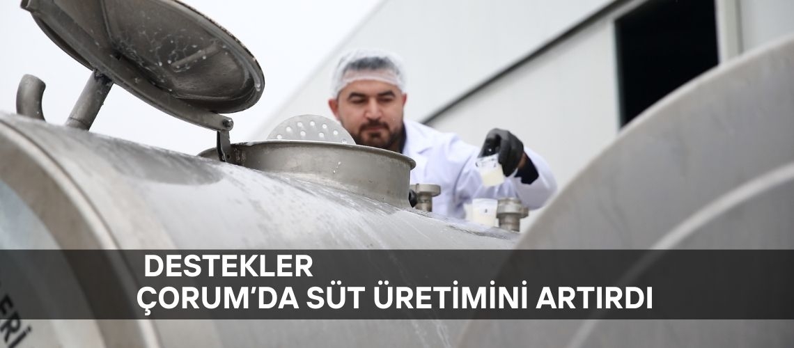 Destekler Çorum'da süt üretimini artırdı