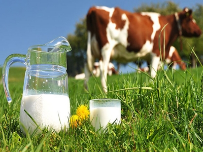 Çiftçilere 284 milyon liralık destek