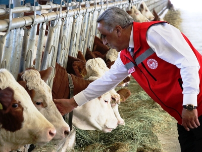 Ari işletmeler Samsun’dan Avrupa’ya süt gönderiyor