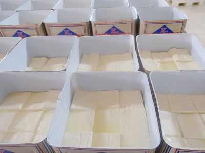 Kırklareli'nde süt işletmesi elektriğini güneşten üretiyor