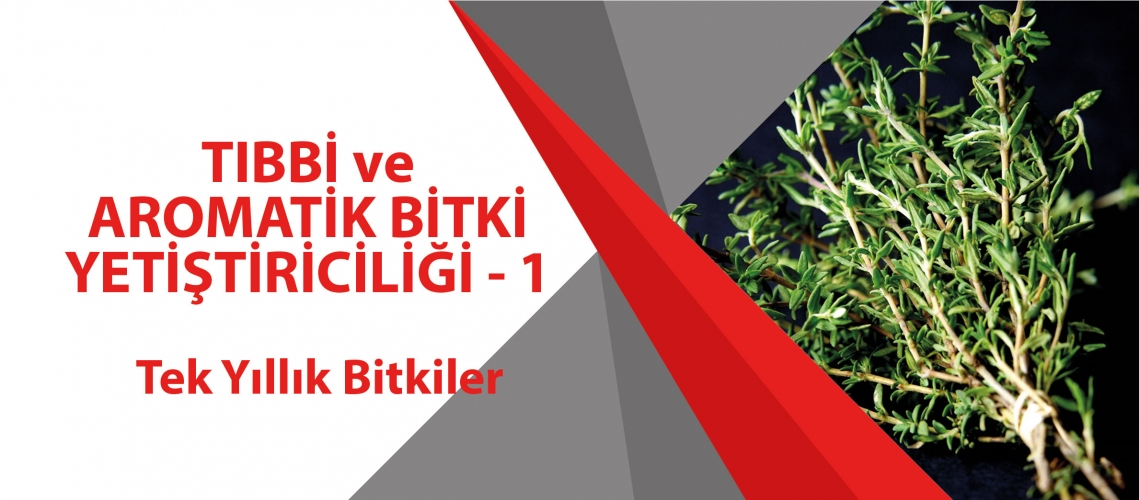TIBBİ VE AROMATİK BİTKİ YETİŞTİRİCİLİĞİ 1 (Tek Yıllık Bitkiler)