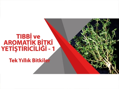 TIBBİ VE AROMATİK BİTKİ YETİŞTİRİCİLİĞİ 1 (Tek Yıllık Bitkiler)