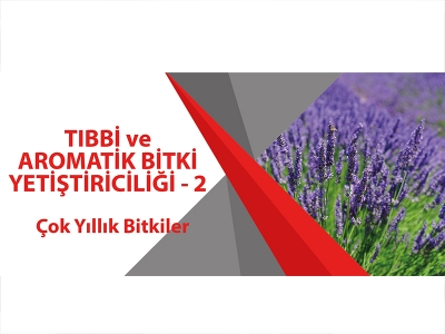 TIBBİ VE AROMATİK BİTKİ YETİŞTİRİCİLİĞİ 2 (Çok Yıllık Bitkiler)