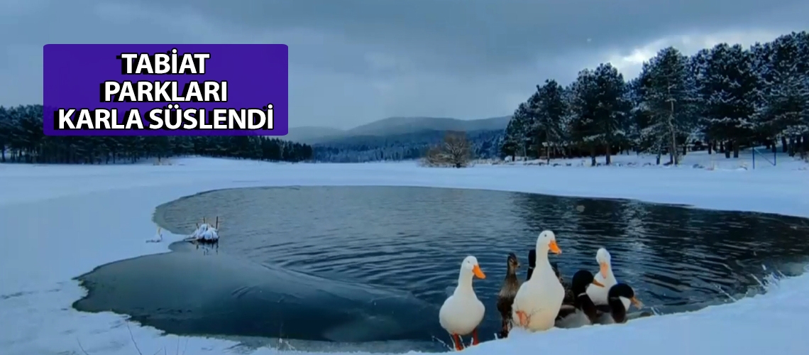 Tabiat parkları karla süslendi