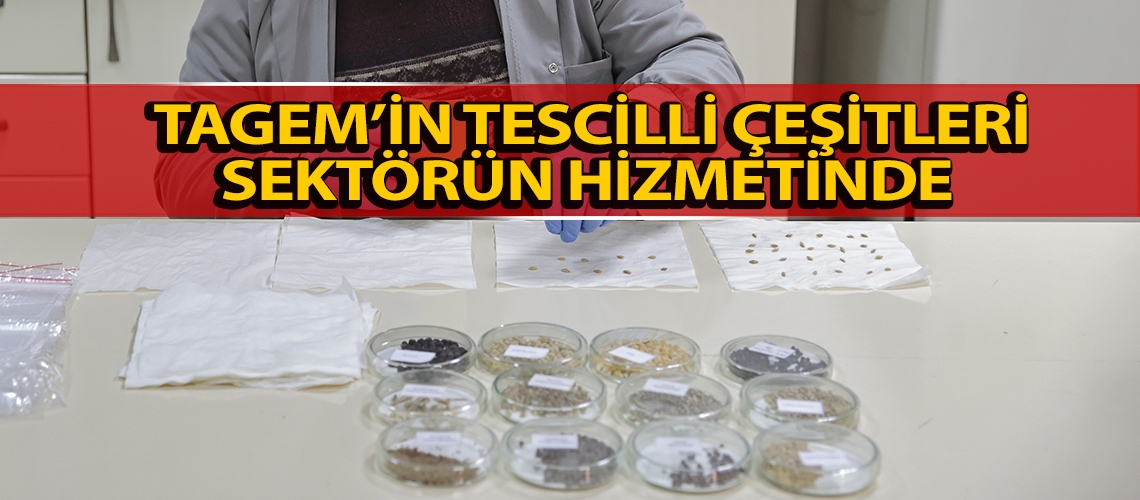 TAGEM’in tescilli çeşitleri sektörün hizmetinde
