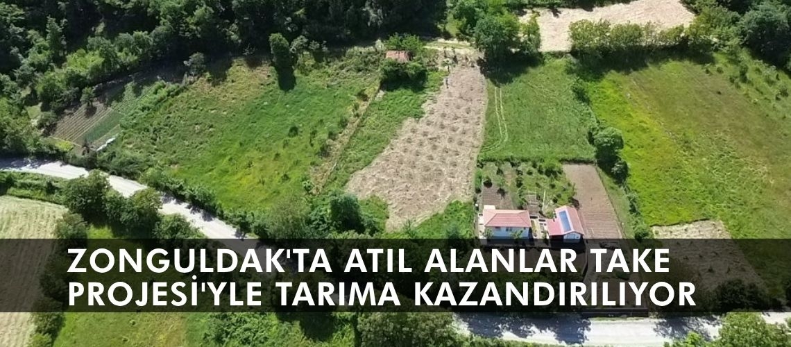 Zonguldak'ta atıl alanlar TAKE Projesi'yle tarıma kazandırılıyor