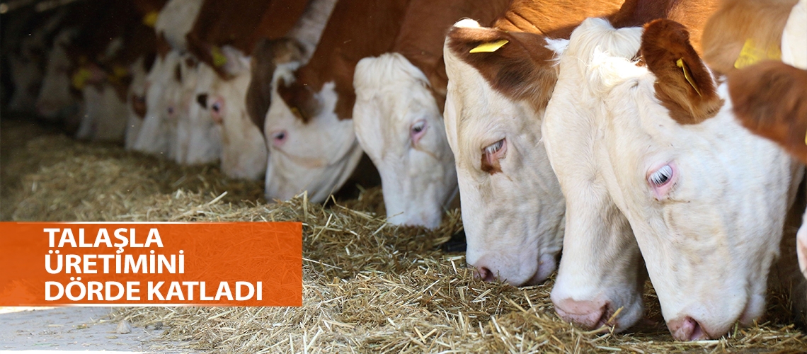 Talaşla üretimini dörde katladı