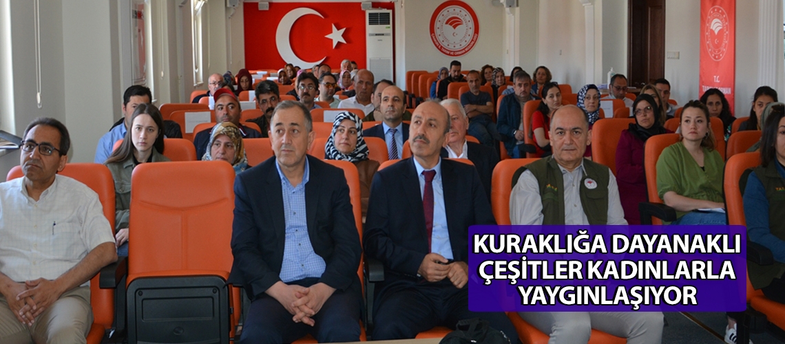 Kuraklığa dayanaklı çeşitler kadınlarla yaygınlaşıyor