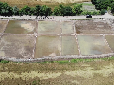 Tarımda dron dönemi