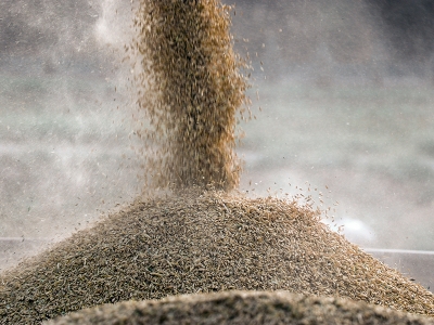 Tarım sektörü ihracatta rekor kırdı