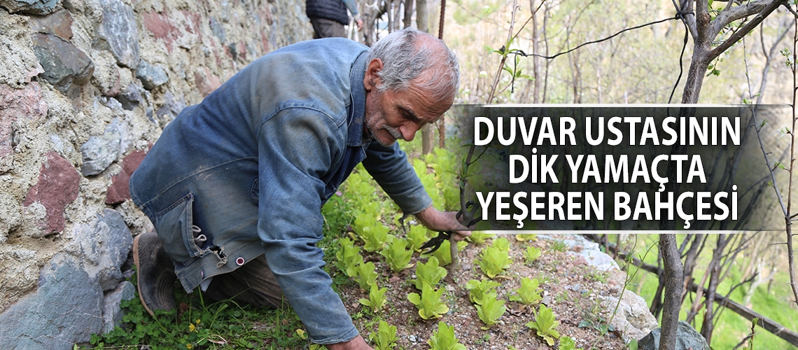 Duvar ustasının dik yamaçta yeşeren bahçesi