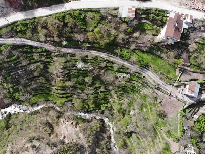 Duvar ustasının dik yamaçta yeşeren bahçesi