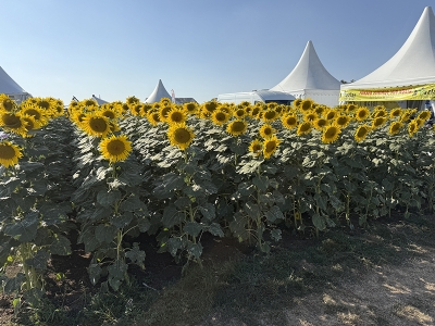 Tekirdağ’da tarım teknolojileri buluşması