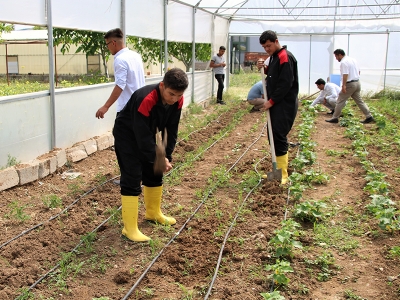 Gençlerin gelecek hayali ‘tarımsal üretim’