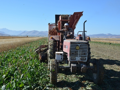 Kirişci: “2023 yılı destek bütçemiz 54 milyar lira