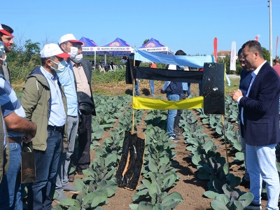 Bafralı çiftçilere “örnek tarla okulu” programı