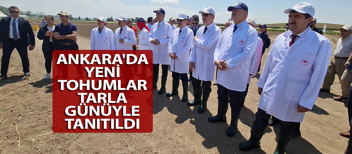 Ankara'da yeni tohumlar tarla günüyle tanıtıldı