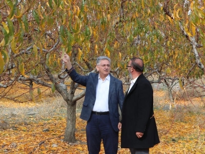 TARSİM zararları karşılamaya devam ediyor