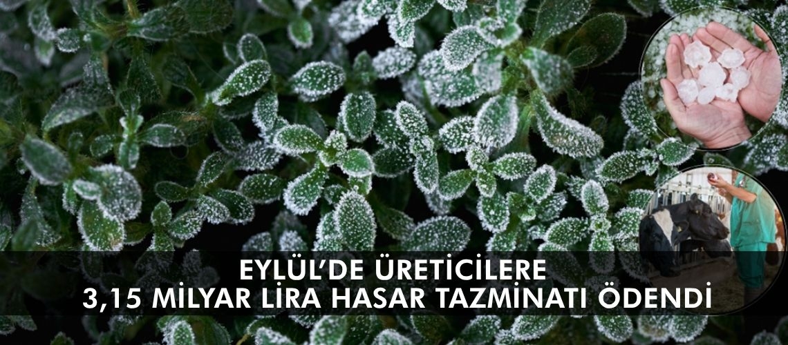 Eylül’de üreticilere 3,15 milyar lira hasar tazminatı ödendi