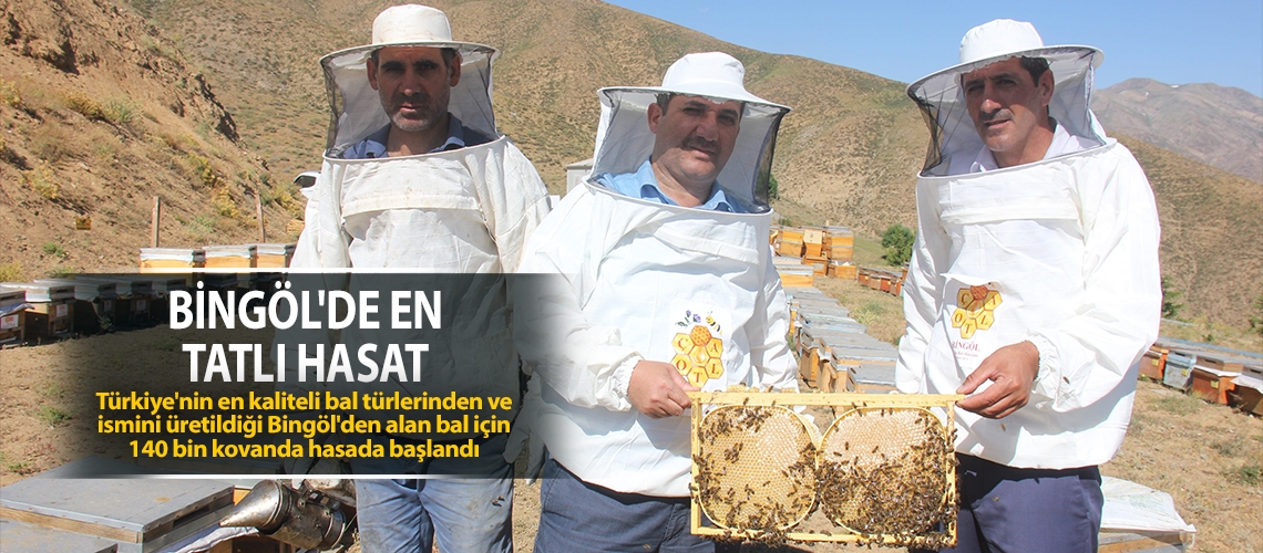 Bingöl'de en tatlı hasat