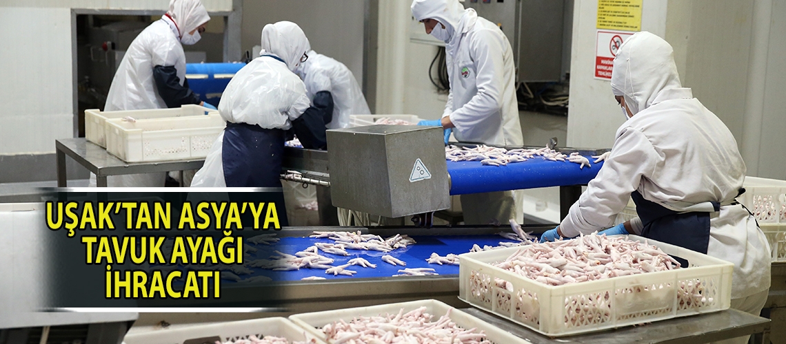 Uşak’tan Asya’ya tavuk ayağı ihracatı