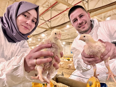 Destekle büyüyen çiftlikte yılda 900 bin piliç yetiştiriliyor