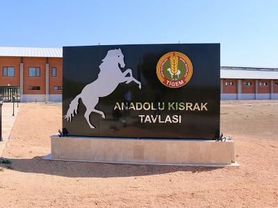 Şampiyonlar bu okulda yetişecek