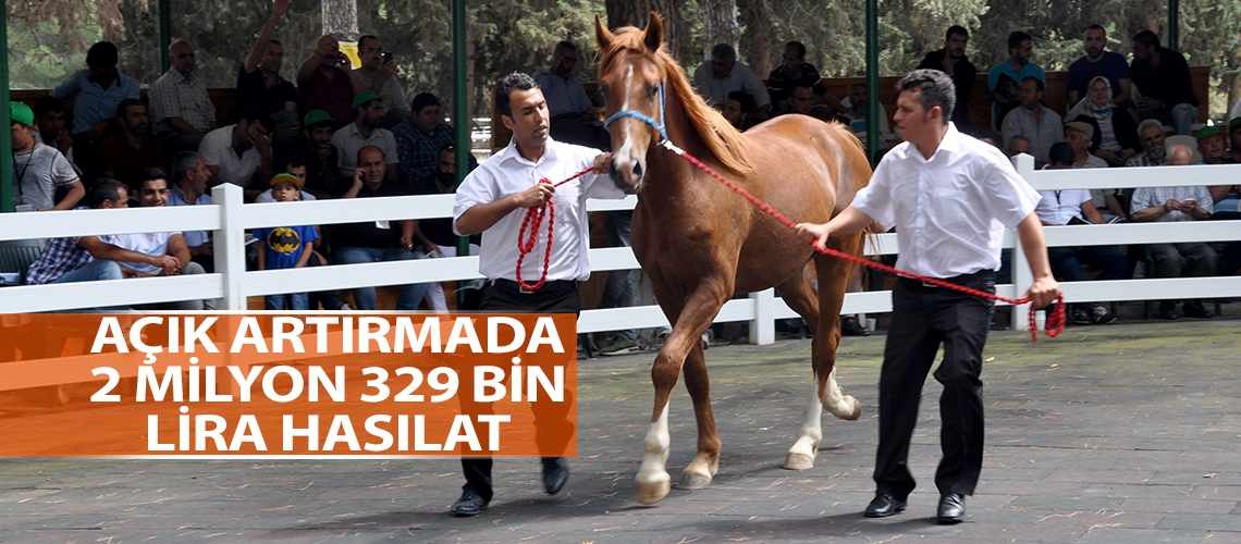 Behiçefe adlı taya 310 bin lira