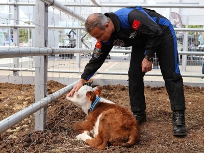 TEKNOFEST’te ‘tarım teknolojilerine’ yoğun ilgi