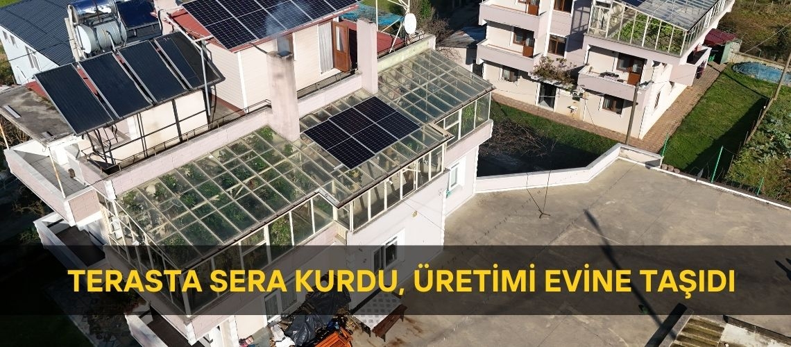 Terasta sera kurdu, üretimi evine taşıdı