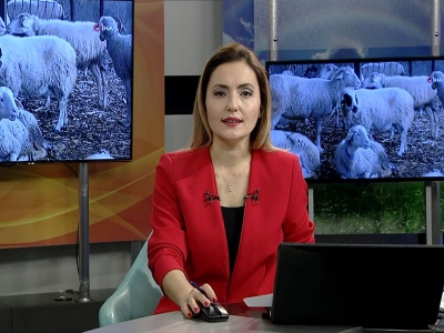 Tarım Gündem 10.02.2021