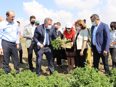 Lokman Hekim Projesi’nde hasat zamanı