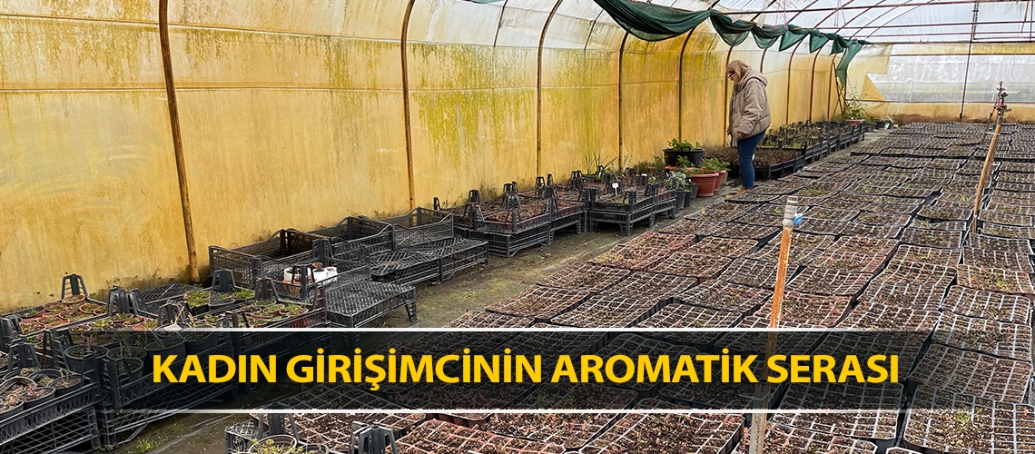 Kadın girişimcinin aromatik serası
