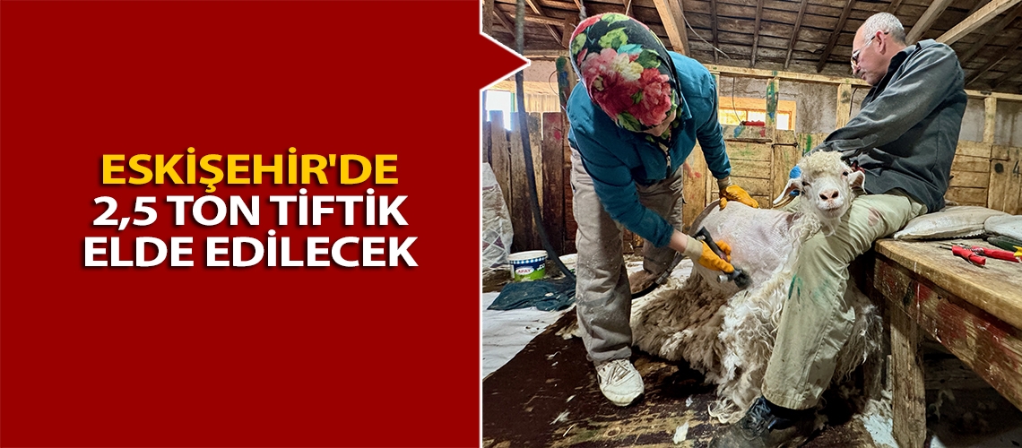 Eskişehir'de 2,5 ton tiftik elde edilecek