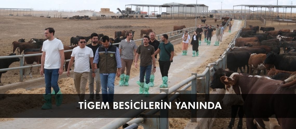TİGEM besicilerin yanında