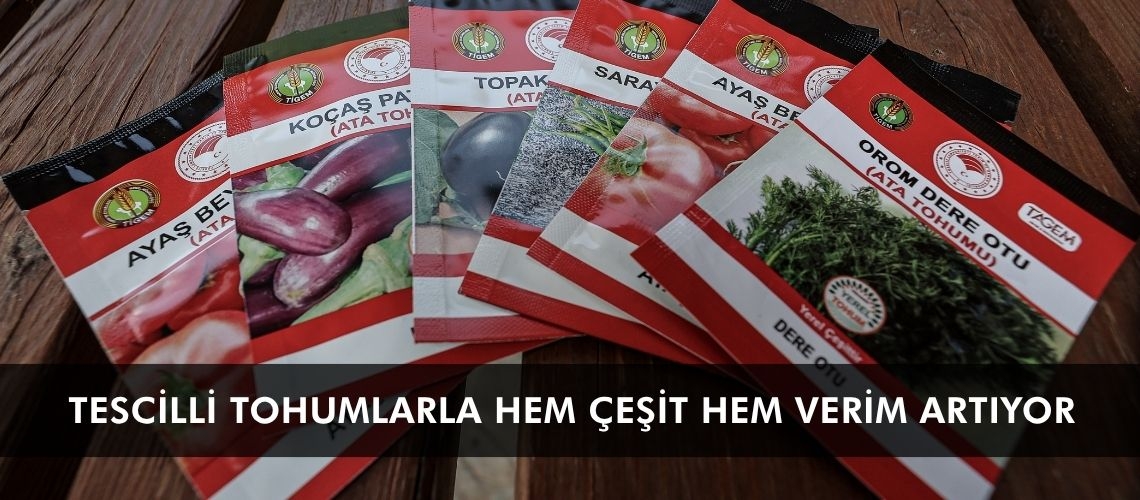 Tescilli tohumlarla hem çeşit hem verim artıyor
