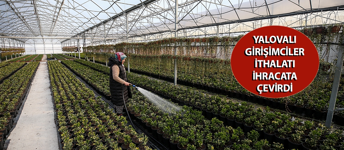 Yalovalı girişimciler ithalatı ihracata çevirdi