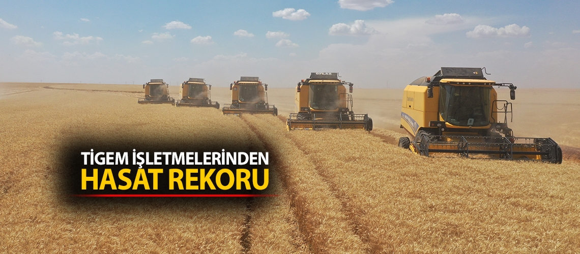 TİGEM işletmelerinden hasat rekoru