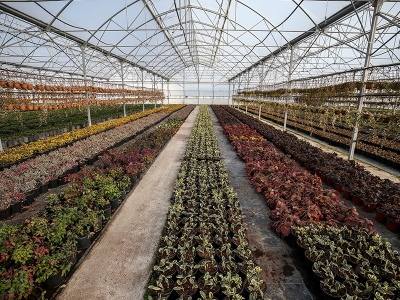 Yalovalı girişimciler ithalatı ihracata çevirdi