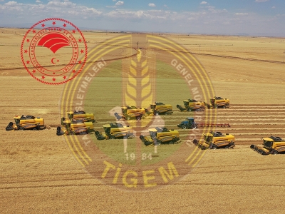 TİGEM işletmelerinden hasat rekoru