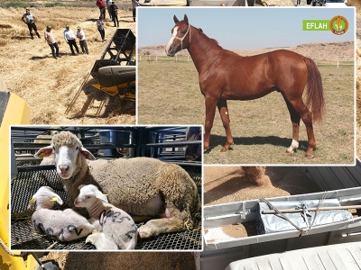 TİGEM üretimde ve satışta rekor kırdı