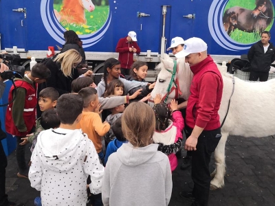 Depremzede çocuklar atlarla buluşuyor