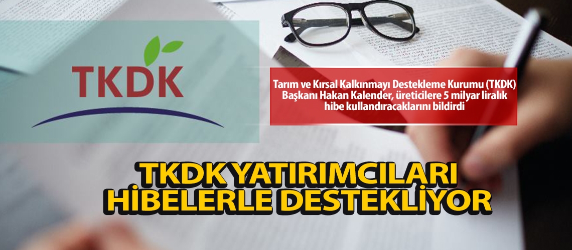 TKDK yatırımcıları hibelerle destekliyor