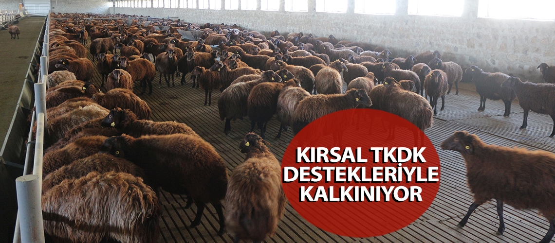 Kırsal TKDK destekleriyle kalkınıyor