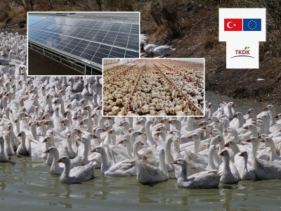 Kanatlı sektörü de kırsal kalkınma desteğiyle güçleniyor