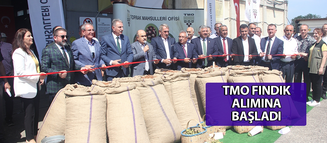 TMO fındık alımına başladı