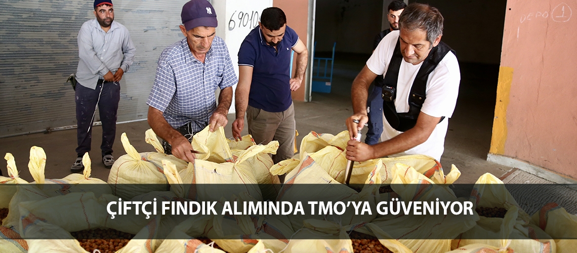 Çiftçi fındık alımında TMO’ya güveniyor
