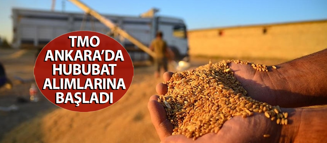 TMO Ankara’da hububat alımlarına başladı