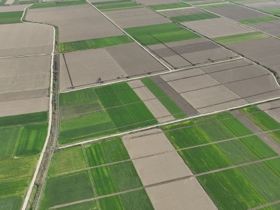 Ocak-mart yağışları hububat veriminde belirleyici olacak