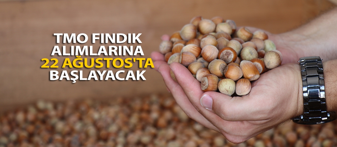 TMO fındık alımlarına 22 Ağustos'ta başlayacak